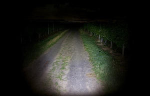 Kraftig sigma buster 100 lyser vejen op 35 meter frem